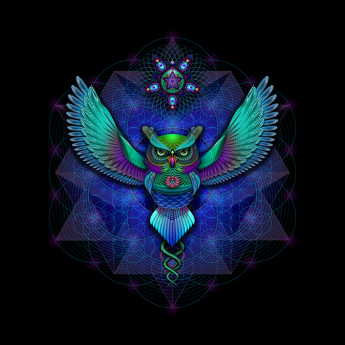 Geometry Owl