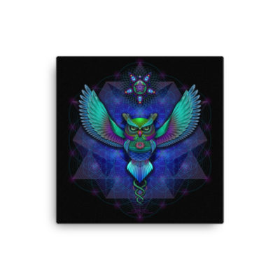 Sacred Geometry Owl - 16 x 16 Stretched Canvas