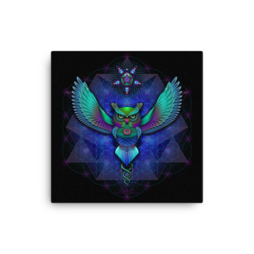 Sacred Geometry Owl - 16 x 16 Stretched Canvas