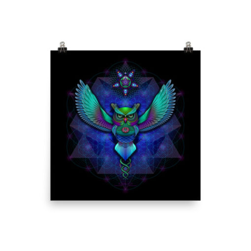Sacred Geometry Owl - 14 x 14 Museum-Quality, Thick, Matte Paper Poster.