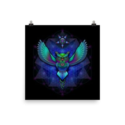 Sacred Geometry Owl - 12 x 12 Museum-Quality, Thick, Matte Paper Poster.