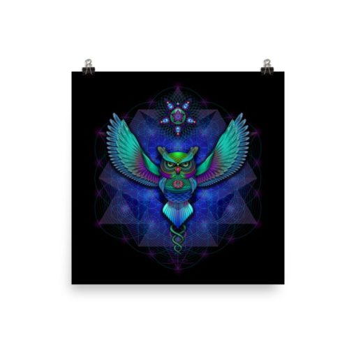 Sacred Geometry Owl - 12 x 12 Museum-Quality, Thick, Matte Paper Poster.